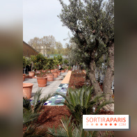 Jardin d'Orient à l'Institut du Monde Arabe