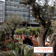 Jardin d'Orient à l'Institut du Monde Arabe