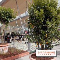 Jardin d'Orient à l'Institut du Monde Arabe