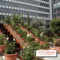 Jardin d'Orient à l'Institut du Monde Arabe