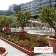 Jardin d'Orient à l'Institut du Monde Arabe
