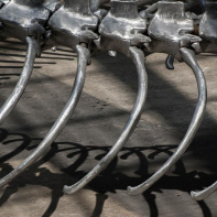 Monumenta 2016, Huang Yong Ping au Grand Palais