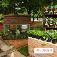 Salon Jardins Jardin aux Tuileries 2016