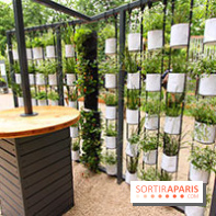 Salon Jardins Jardin aux Tuileries 2016, Gally