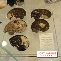 Cristaux et Couleurs