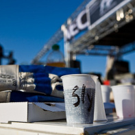 techno, parade, techno parade 2008