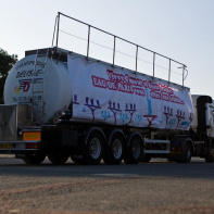 techno, parade, techno parade 2008