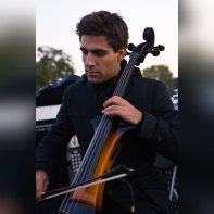 techno, parade, techno parade 2008