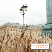 Gad Weil installe son Champ de Blés Place Vendôme