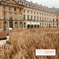 Gad Weil installe son Champ de Blés Place Vendôme