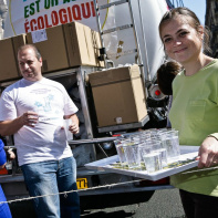 techno, parade, techno parade 2008