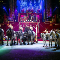 Surprise au Cirque d'Hiver, les photos