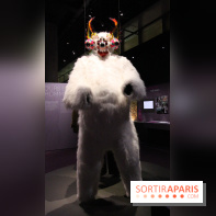 Espèces d'Ours, l'expo au Muséum National d'Histoire Naturelle