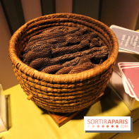 Espèces d'Ours, l'expo au Muséum National d'Histoire Naturelle