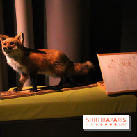 Espèces d'Ours, l'expo au Muséum National d'Histoire Naturelle