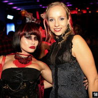 Le Bal des Vampires, Le Bal des princesses 2016