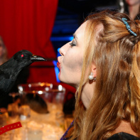 Le Bal des Vampires, Le Bal des princesses 2016