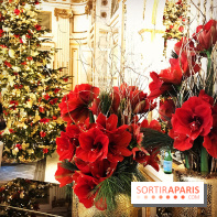 Accord Mets-thé by la Compagnie Coloniale au Péninsula