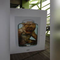 Biennale des Créateurs d'Images