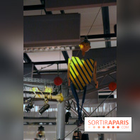 La Cité des Enfants se Renouvelle - Décembre 2016