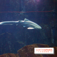 Aquarium de Paris Décembre 2016