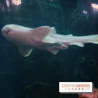 Aquarium de Paris Décembre 2016