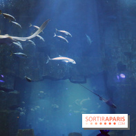 Aquarium de Paris Décembre 2016