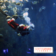 Aquarium de Paris Décembre 2016