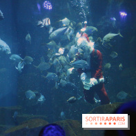 Aquarium de Paris Décembre 2016