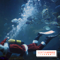 Aquarium de Paris Décembre 2016