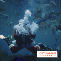 Aquarium de Paris Décembre 2016