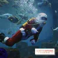 Aquarium de Paris Décembre 2016