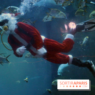 Aquarium de Paris Décembre 2016