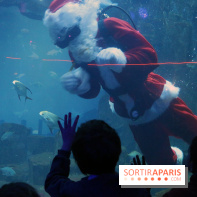 Aquarium de Paris Décembre 2016