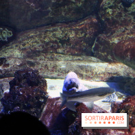 Aquarium de Paris Décembre 2016