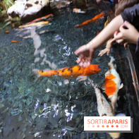 Aquarium de Paris Décembre 2016