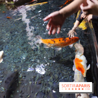 Aquarium de Paris Décembre 2016