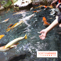 Aquarium de Paris Décembre 2016