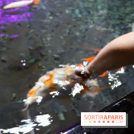 Aquarium de Paris Décembre 2016