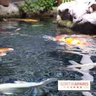 Aquarium de Paris Décembre 2016