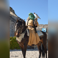 Les Aigles des Remparts de Provins 2017