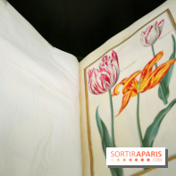 Exposition Jardins au Grand Palais