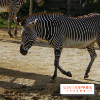 Zoo de Vincennes, Parc Zoologique de Paris 2017