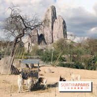 Zoo de Vincennes, Parc Zoologique de Paris 2017