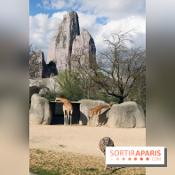 Zoo de Vincennes, Parc Zoologique de Paris 2017