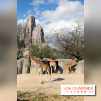 Zoo de Vincennes, Parc Zoologique de Paris 2017