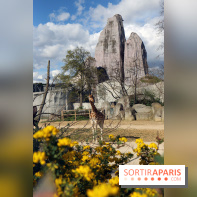 Zoo de Vincennes, Parc Zoologique de Paris 2017