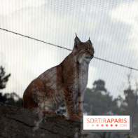 Zoo de Vincennes, Parc Zoologique de Paris 2017