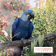 Zoo de Vincennes, Parc Zoologique de Paris 2017