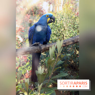 Zoo de Vincennes, Parc Zoologique de Paris 2017